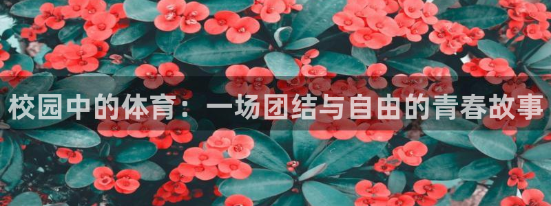 校园中的体育：一场团结与自由的青春故事