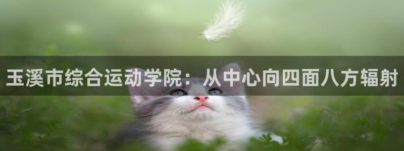 玉溪市综合运动学院：从中心向四面八方辐射
