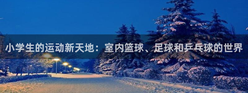 小学生的运动新天地：室内篮球、足球和乒乓球的世界