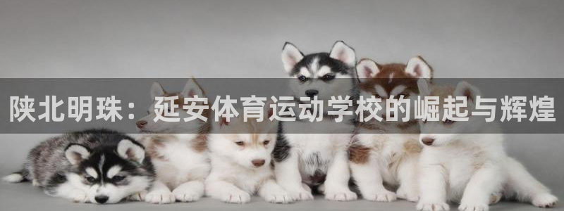 陕北明珠：延安体育运动学校的崛起与辉煌