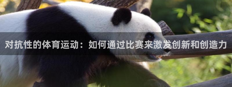 对抗性的体育运动：如何通过比赛来激发创新和创造力