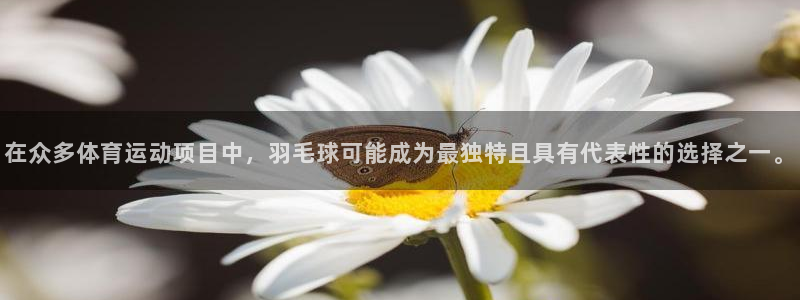 在众多体育运动项目中，羽毛球可能成为最独特且具有代表性的选择之一。
