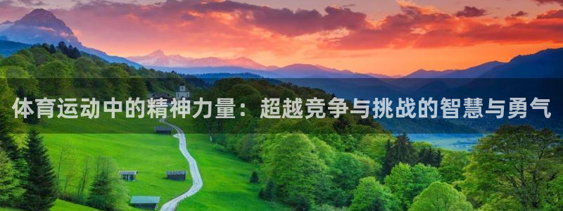体育运动中的精神力量：超越竞争与挑战的智慧与勇气