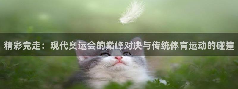 精彩竞走：现代奥运会的巅峰对决与传统体育运动的碰撞